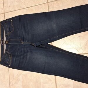 Q women's Silver Crush blue stretch skinny jeans size 16W  EUC